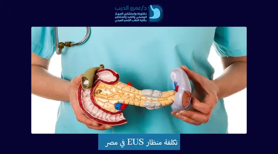 تكلفة منظار EUS في مصر